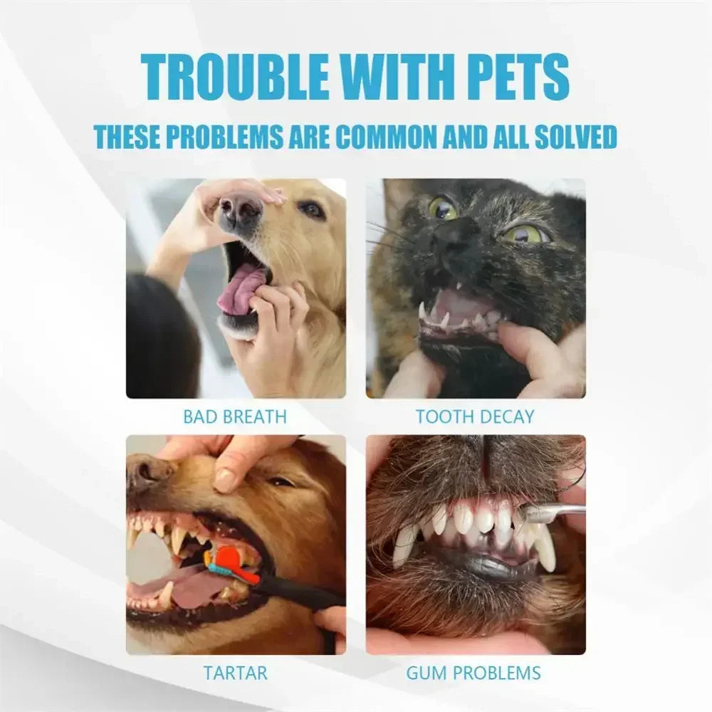 Cat Toothbrush Soft Hair Brush for Cats Mouth Cleaning