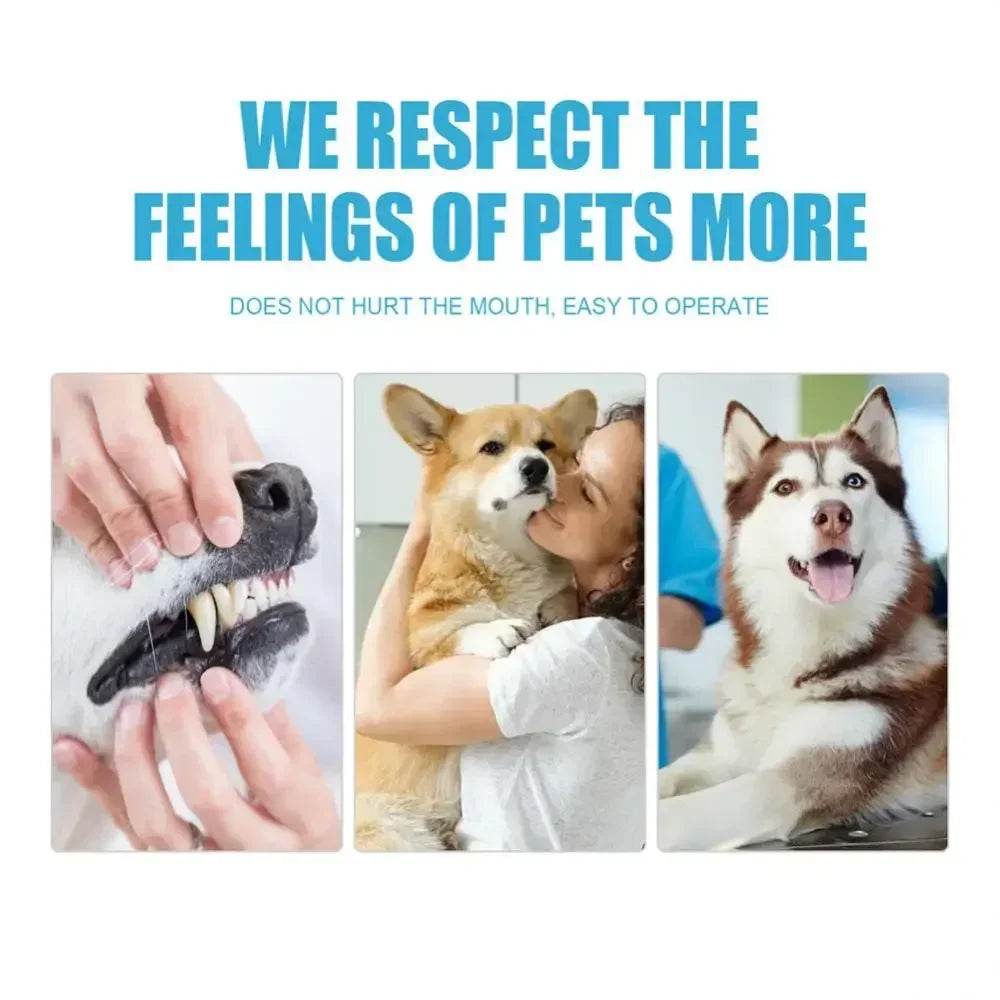 Cat Toothbrush Soft Hair Brush for Cats Mouth Cleaning