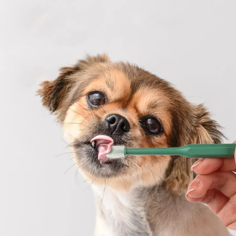 Cat Toothbrush Soft Hair Brush for Cats Mouth Cleaning