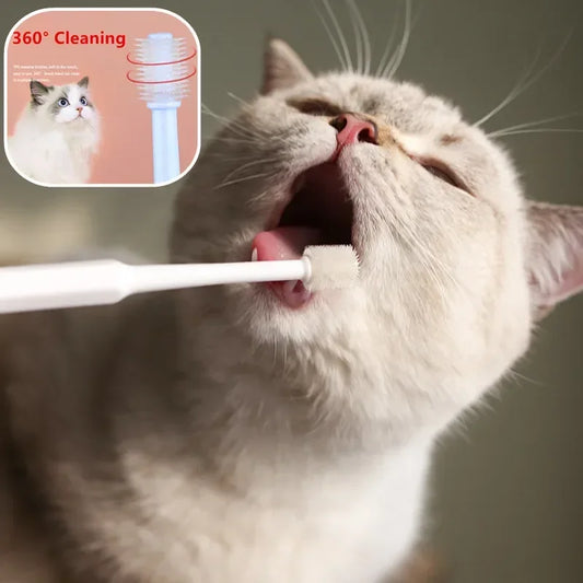 Cat Toothbrush Soft Hair Brush for Cats Mouth Cleaning